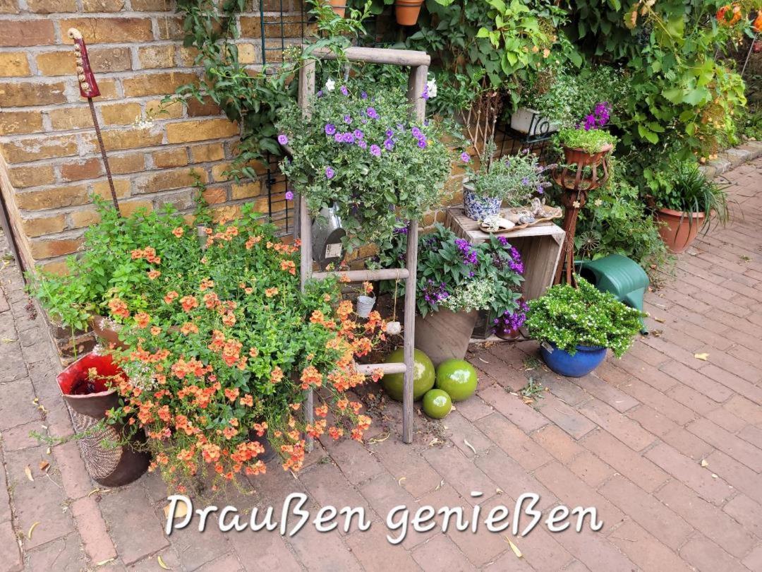 Neu! Stilvolle Finsterwalde
